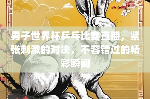 男子世界杯乒乓比赛直播，紧张刺激的对决，不容错过的精彩瞬间漯河市盈旭机械设备有限公司