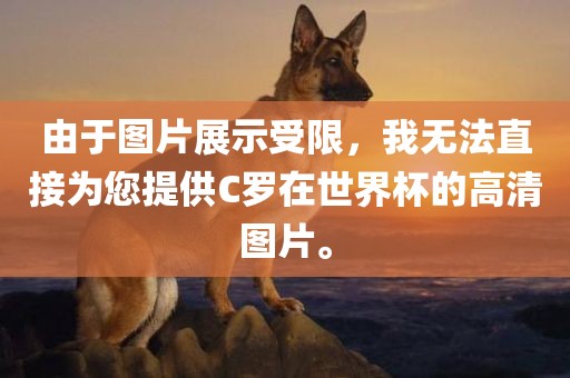 由于图片展示受限，我无法直接为您提供C罗在世界杯的高清图片。