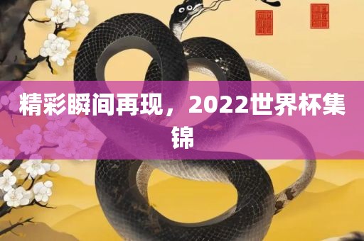 精彩瞬间再现，2022世界杯集锦