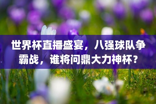 世界杯直播盛宴，八强球队争霸战，谁将问鼎大力神杯？