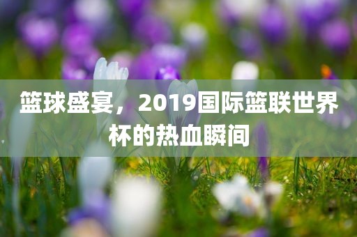 篮球盛宴，2019国际篮联世界杯的热血瞬间