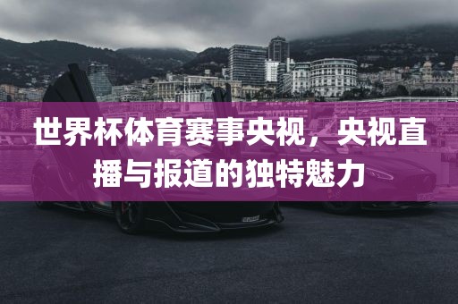 世界杯体育赛事央视，央视直播与报道的独特魅力漯河市盈旭机械设备有限公司