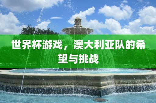 世界杯游戏，澳大利亚队的希望与挑战