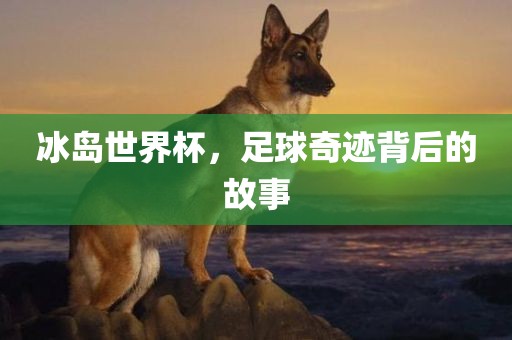 冰岛世界杯，足球奇迹背后的故事