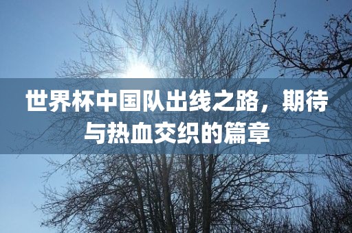 世界杯中国队出线之路，期待与热血交织的篇章漯河市盈旭机械设备有限公司