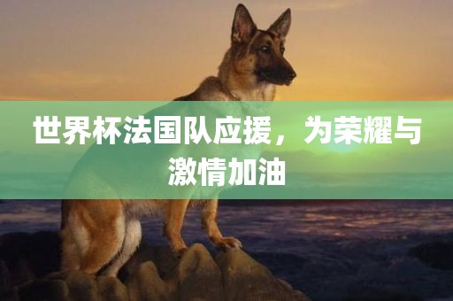世界杯法国队应援，为荣耀与激情加油