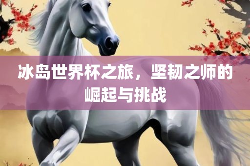 冰岛世界杯之旅，坚韧之师的崛起与挑战