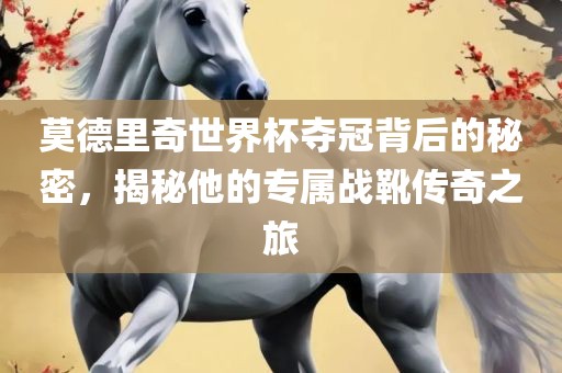 莫德里奇世界杯夺冠背后的秘密，揭秘他的专属战靴传奇之旅漯河市盈旭机械设备有限公司