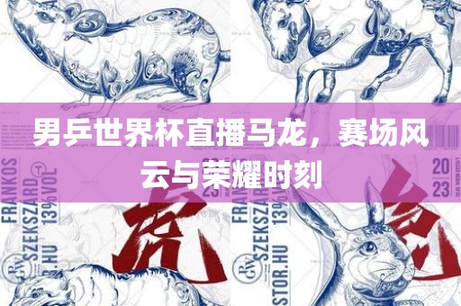 男乒世界杯直播马龙，赛场风云与荣耀时刻