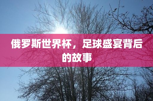 俄罗斯世界杯，足球盛宴背后的故事