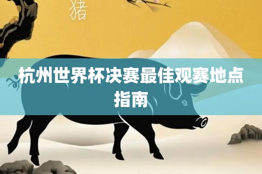 杭州世界杯决赛最佳观赛地点指南