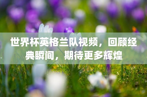 世界杯英格兰队视频，回顾经典瞬间，期待更多辉煌