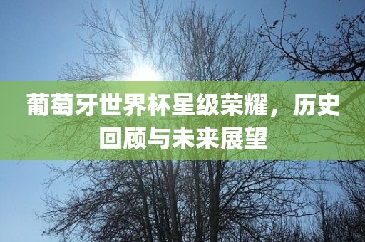 葡萄牙世界杯星级荣耀，历史回顾与未来展望