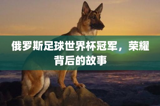 俄罗斯足球世界杯冠军，荣耀背后的故事
