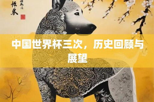 中国世界杯三次，历史回顾与展望