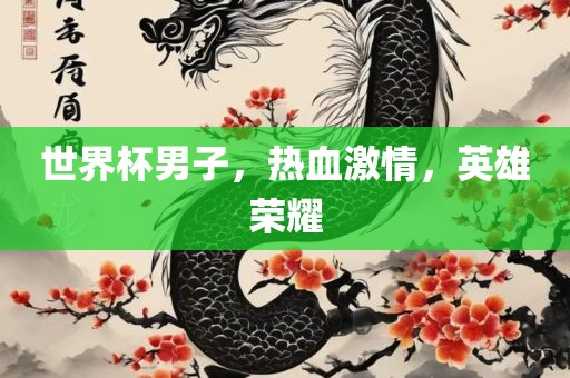世界杯男子，热血激情，英雄荣耀