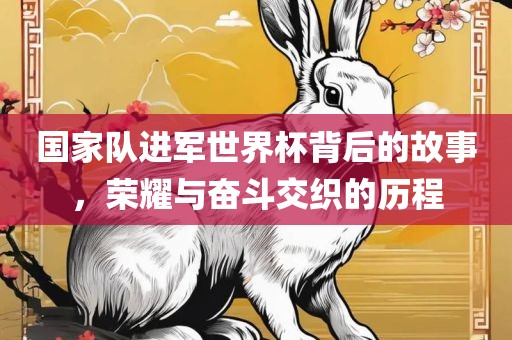 国家队进军世界杯背后的故事，荣耀与奋斗交织的历程漯河市盈旭机械设备有限公司