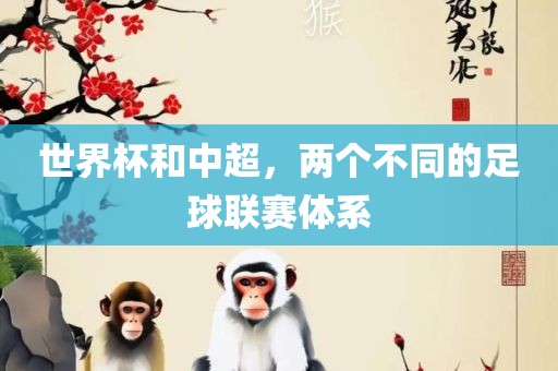 世界杯和中超，两个不同的足球联赛体系