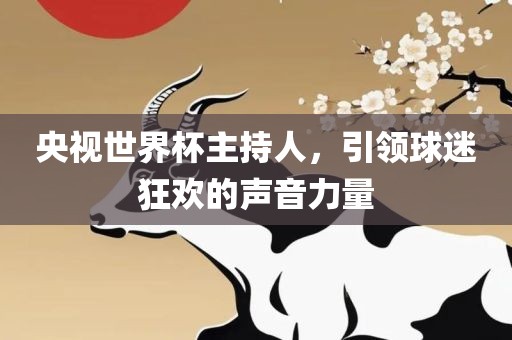 央视世界杯主持人，引领球迷狂欢的声音力量漯河市盈旭机械设备有限公司