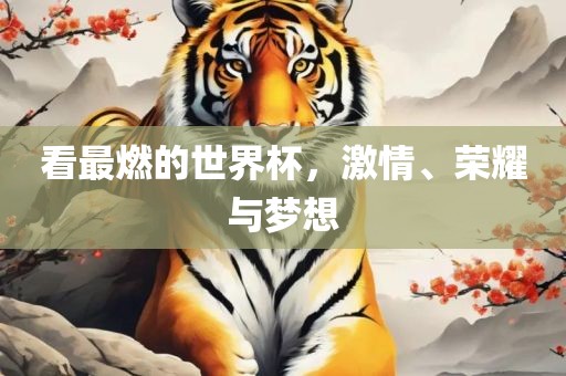 看最燃的世界杯，激情、荣耀与梦想