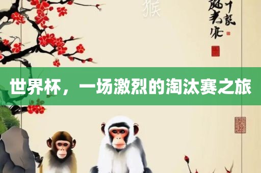 世界杯，一场激烈的淘汰赛之旅