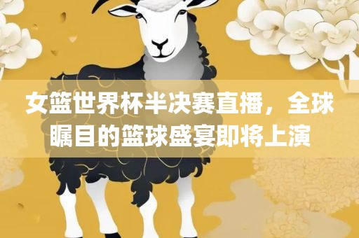 女篮世界杯半决赛直播，全球瞩目的篮球盛宴即将上演漯河市盈旭机械设备有限公司