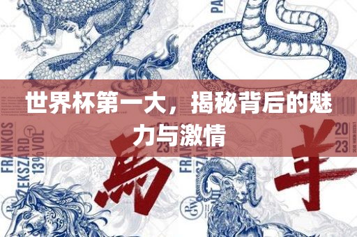 世界杯第一大，揭秘背后的魅力与激情