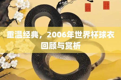 重温经典，2006年世界杯球衣回顾与赏析
