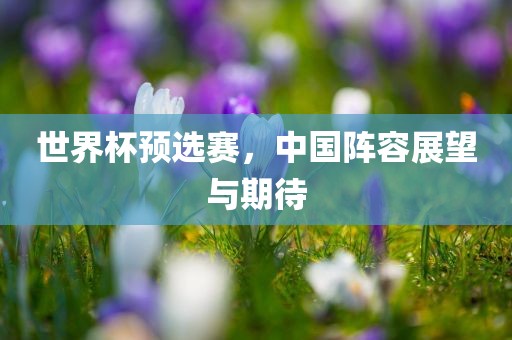 世界杯预选赛，中国阵容展望与期待