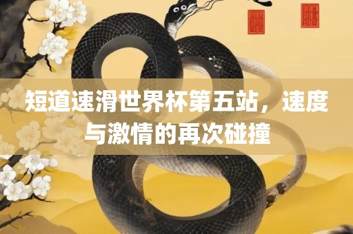 短道速滑世界杯第五站，速度与激情的再次碰撞