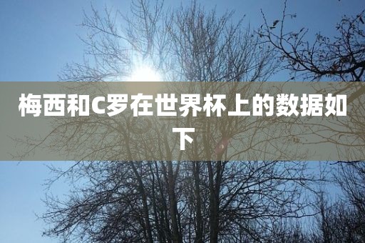梅西和C罗在世界杯上的数据如下漯河市盈旭机械设备有限公司
