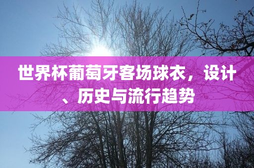 世界杯葡萄牙客场球衣，设计、历史与漯河市盈旭机械设备有限公司流行趋势