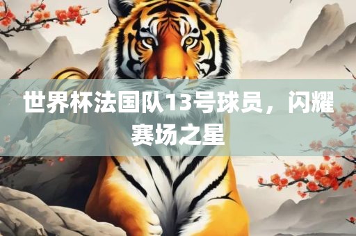 世界杯法国队13号球员，闪耀赛场之星