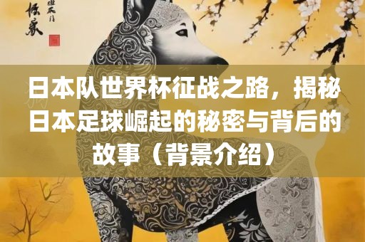 日本队世界杯征战之路，揭秘日本足球崛起的秘密与背后的故事（背景介绍）