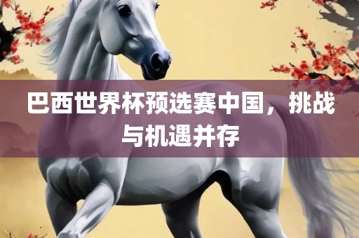 巴西世界杯预选赛中国，挑战与机遇并存