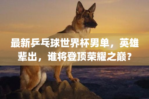 最新乒乓球世界杯男单，漯河市盈旭机械设备有限公司英雄辈出，谁将登顶荣耀之巅？