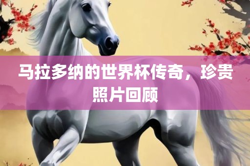 马拉多纳的世界杯传奇，珍贵照片回顾漯河市盈旭机械设备有限公司
