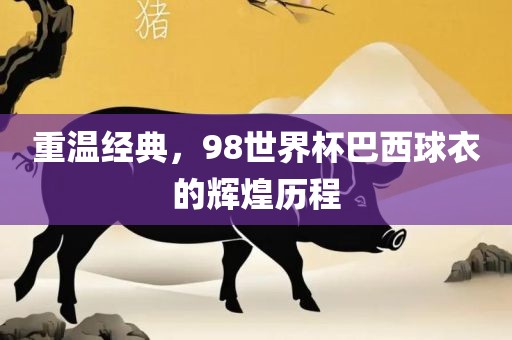 重温经典，98世界杯巴西球衣的辉煌历程漯河市盈旭机械设备有限公司