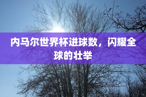 内马尔世界杯进球数，闪耀全球的壮举漯河市盈旭机械设备有限公司