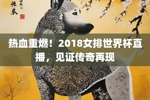 女排世界杯直播