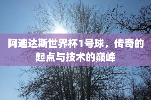 阿迪达斯世界杯1号球，传奇的起点与技术的巅峰漯河市盈旭机械设备有限公司