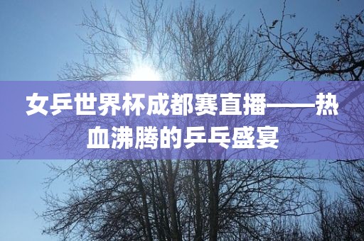 女乒世界杯成都赛直播——热血沸腾的乒乓盛宴漯河市盈旭机械设备有限公司