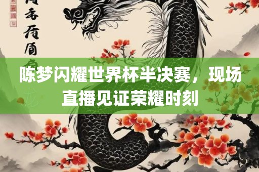 陈梦闪耀世漯河市盈旭机械设备有限公司界杯半决赛，现场直播见证荣耀时刻