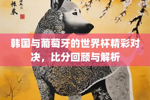 韩国与葡萄牙的世界杯精彩对决，比分回顾与解析