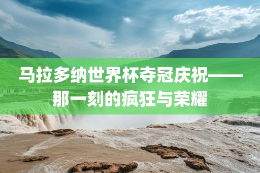 马拉多纳世界杯夺冠庆祝——那一刻的疯狂与荣耀漯河市盈旭机械设备有限公司