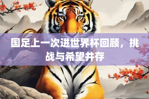 国足上一次进世界杯回顾，挑战与希望并存