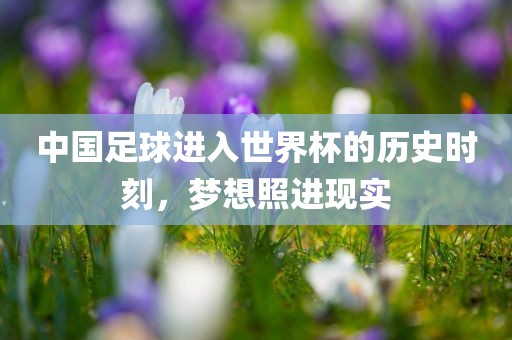 中国足球进入世界杯的历史时刻，梦想照进现实