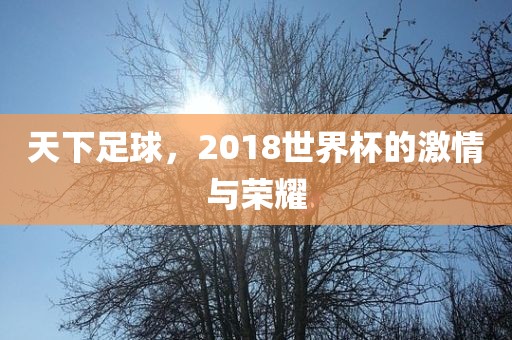 天下足球，2018世界杯的激情与荣耀