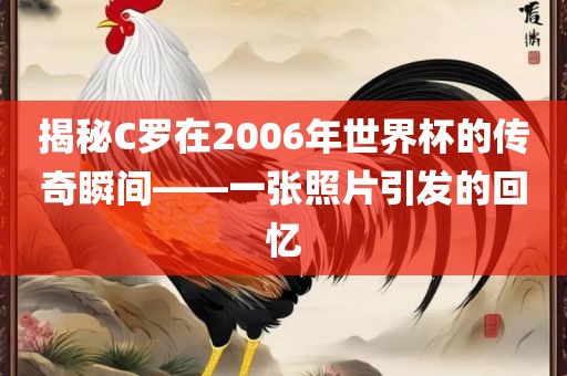 揭秘C罗在2006年世界杯的传奇瞬间——一张照片引发的回忆漯河市盈旭机械设备有限公司