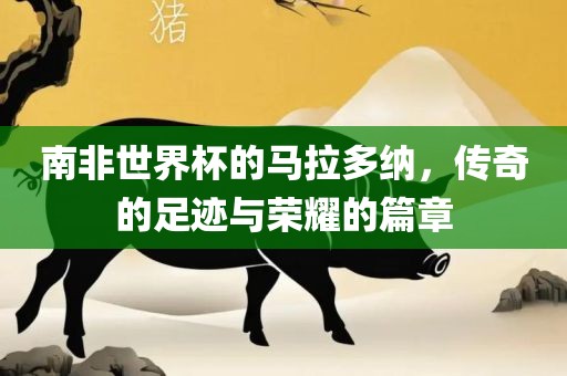 南非世界杯的马拉多纳，传奇的足迹与荣耀的篇章漯河市盈旭机械设备有限公司